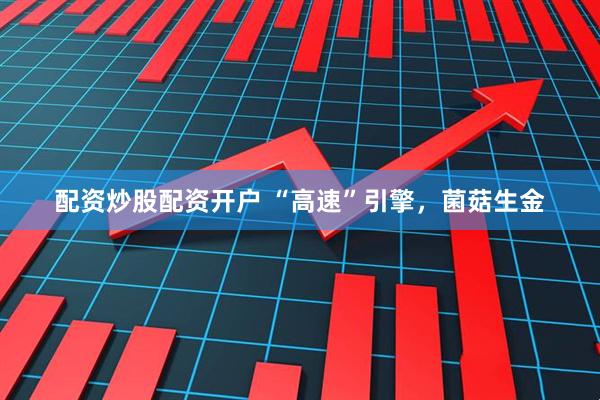 配资炒股配资开户 “高速”引擎，菌菇生金