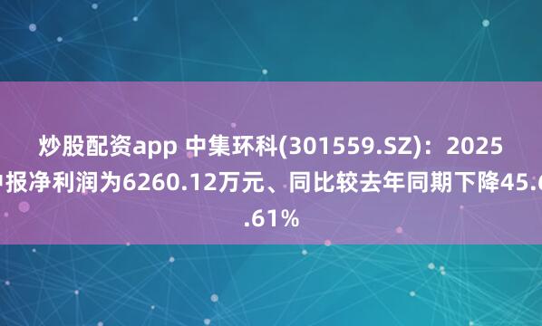炒股配资app 中集环科(301559.SZ)：2025年中报净利润为6260.12万元、同比较去年同期下降45.61%