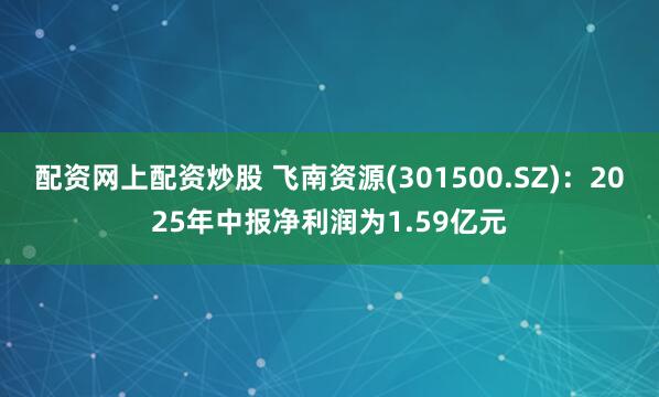 配资网上配资炒股 飞南资源(301500.SZ)：2025年中报净利润为1.59亿元